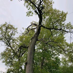 Meet your Posher, Sean